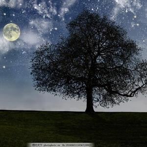 全彩18禁裸乳羞羞电影无遮挡
